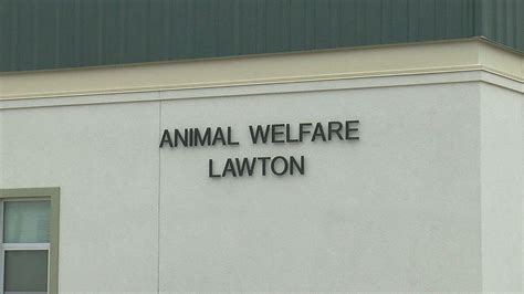  May 20, 2022. . Lawton animal welfare photos